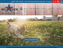 Tablet Screenshot of biglickvet.com